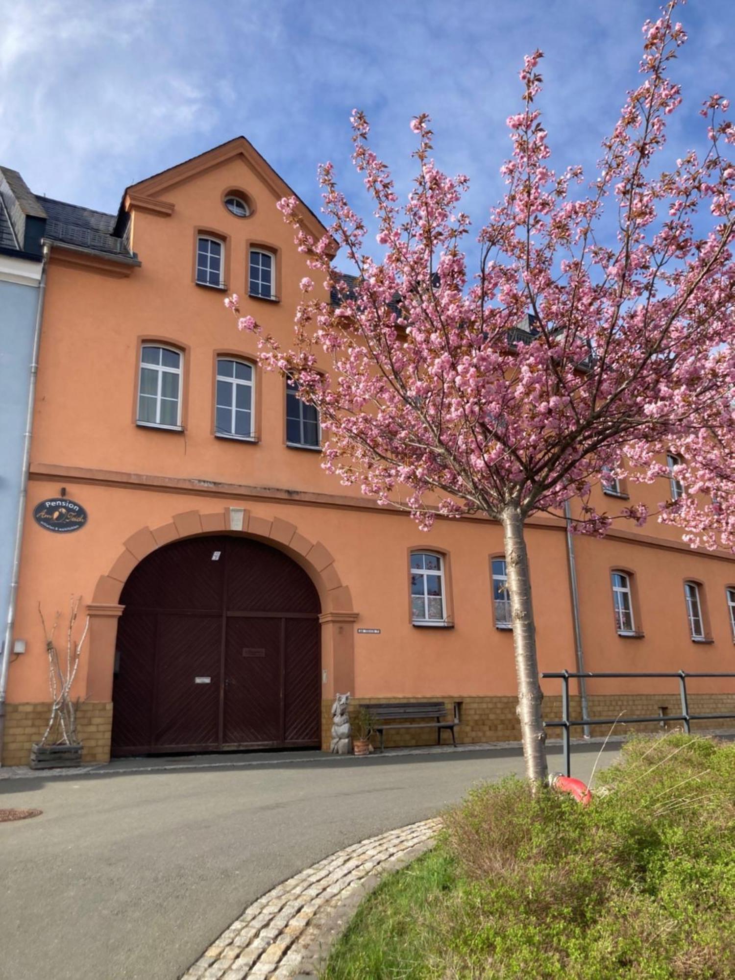 Pension Und Ferienwohnung Am Teich Schleiz Exterior photo